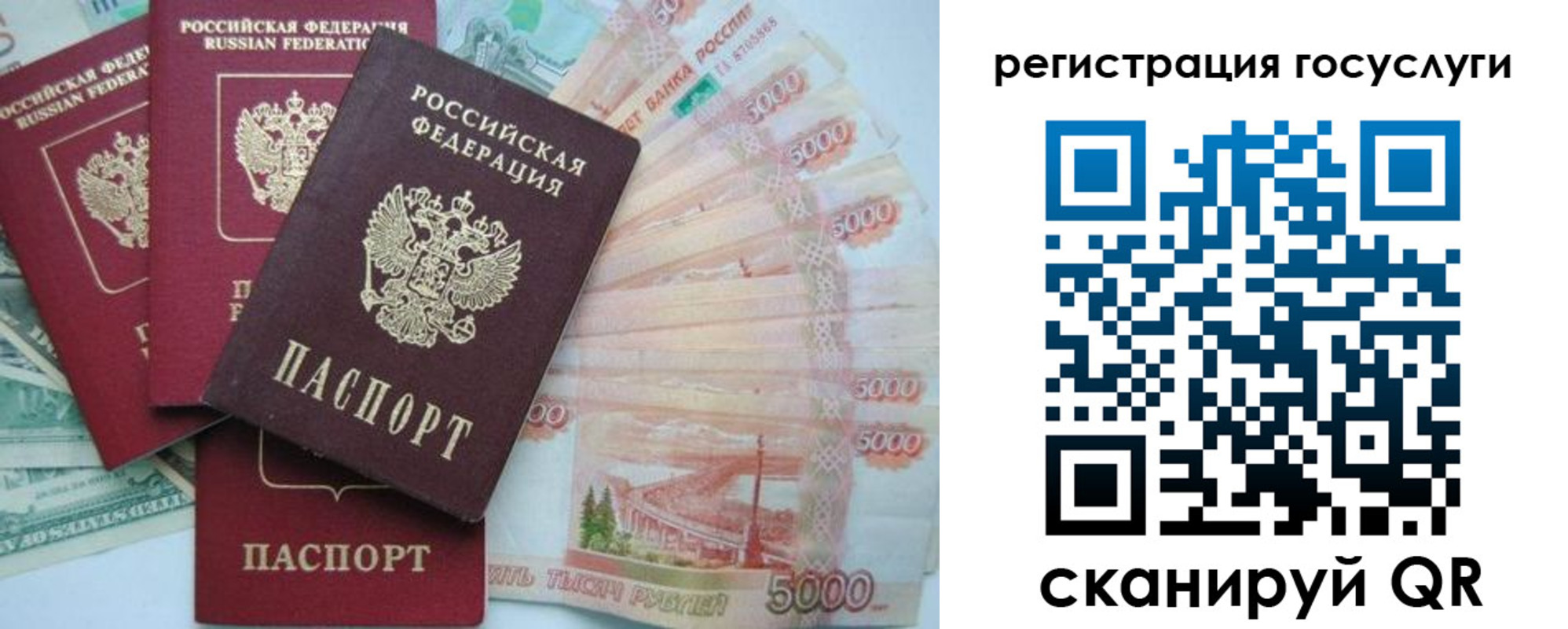 прописка иностранных граждан в Алексине